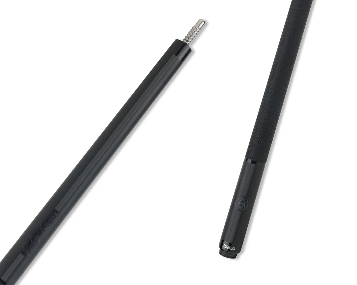 RM black lizard Main